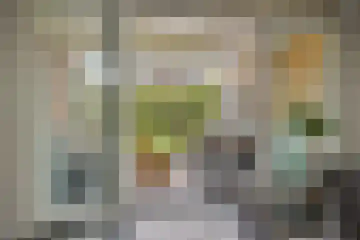 Lange Vore 45 Bavel thumbnail 13