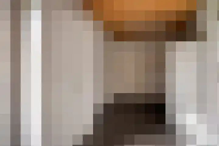 Lange Vore 45 Bavel thumbnail 15