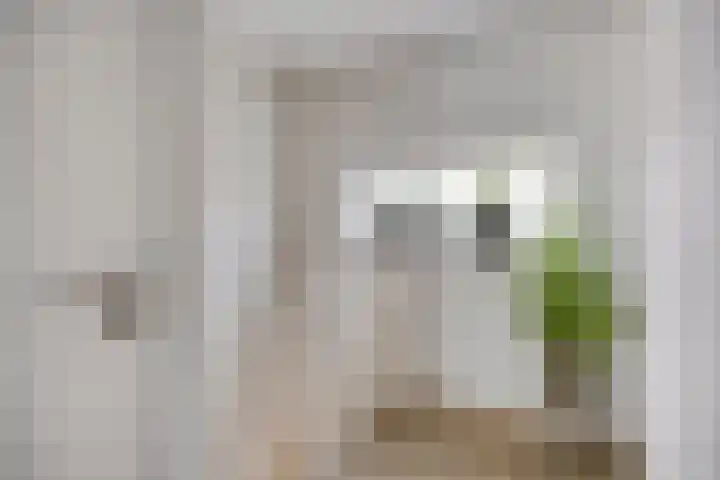 Lange Vore 45 Bavel thumbnail 16