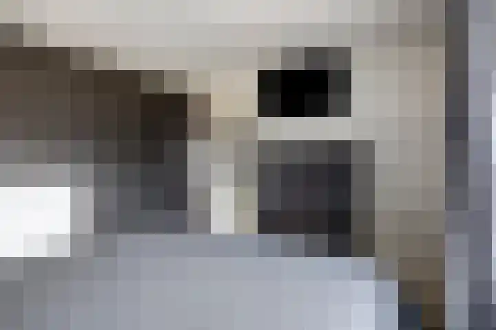 Lange Vore 45 Bavel thumbnail 19