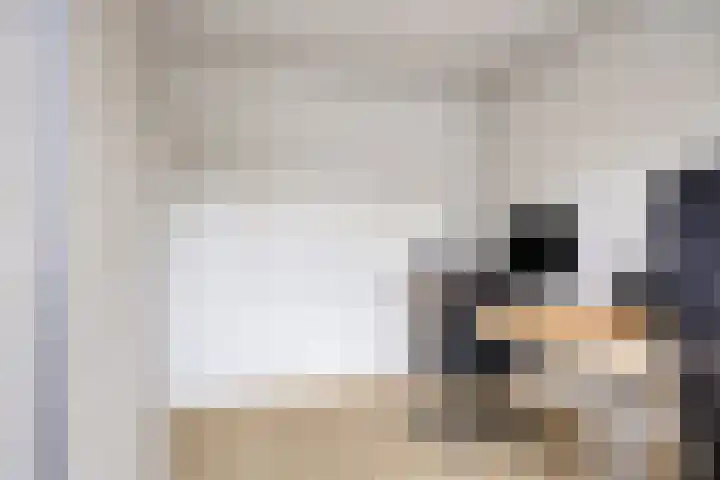 Lange Vore 45 Bavel thumbnail 21