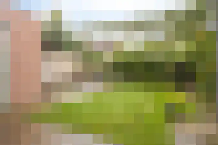 Lange Vore 45 Bavel thumbnail 27