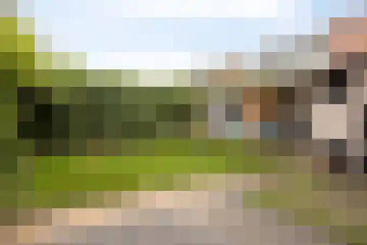 Lange Vore 45 Bavel thumbnail 28