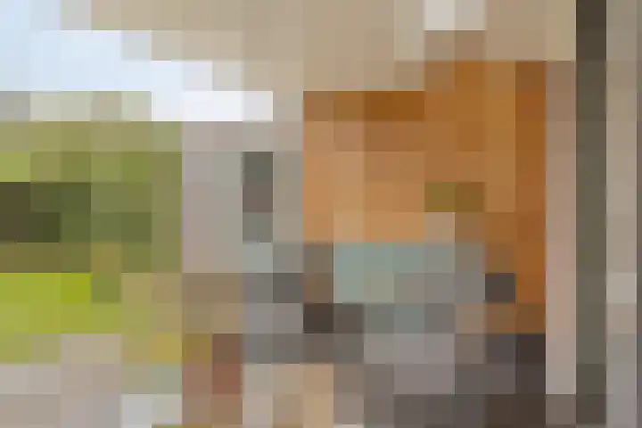 Lange Vore 45 Bavel thumbnail 30