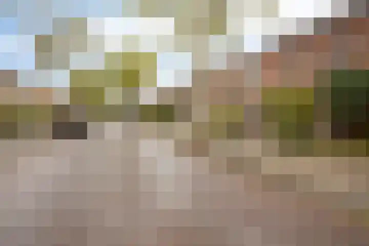 Lange Vore 45 Bavel thumbnail 33
