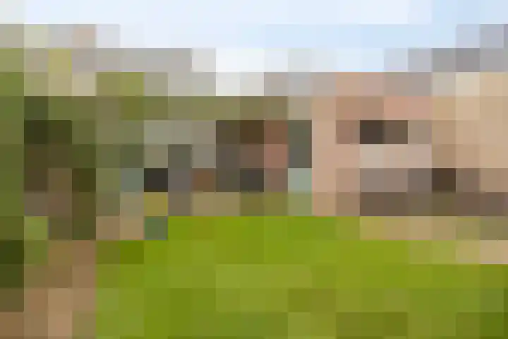 Lange Vore 45 Bavel thumbnail 4