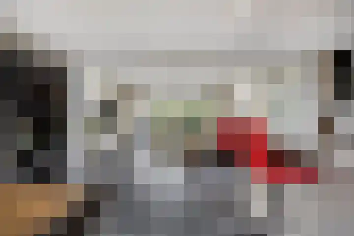 Lange Vore 45 Bavel thumbnail 7