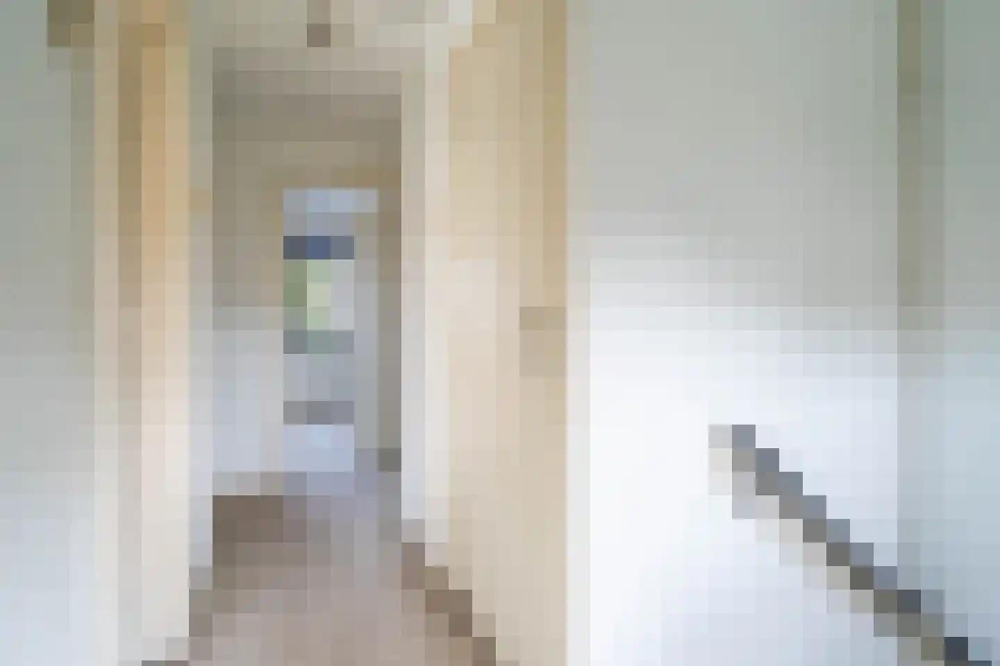 Lange Vore 49 Bavel thumbnail 11