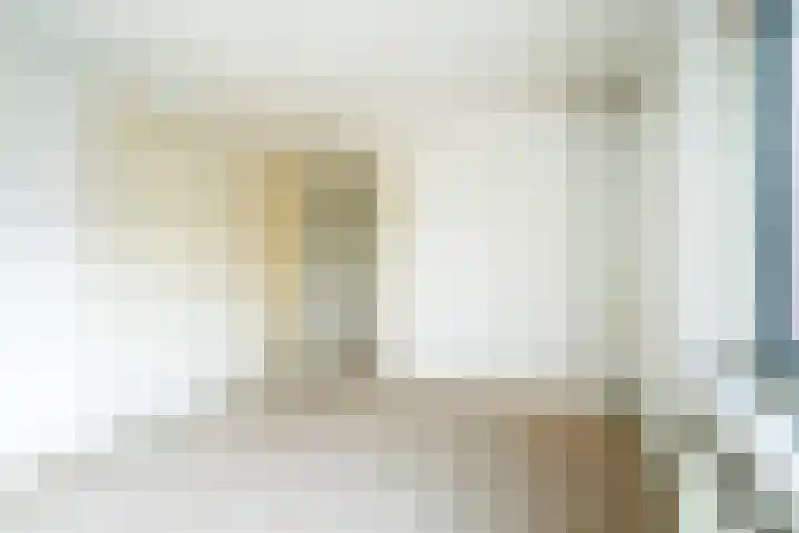 Lange Vore 49 Bavel thumbnail 13