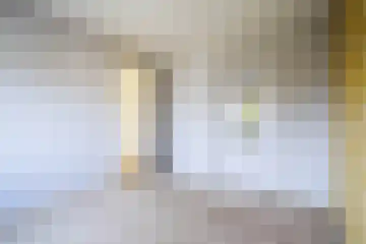 Lange Vore 49 Bavel thumbnail 15