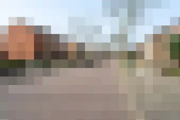 Lange Vore 49 Bavel thumbnail 22