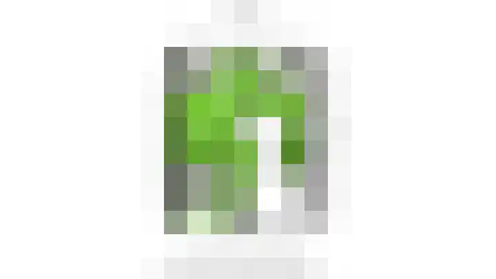 Lange Vore 49 Bavel thumbnail 24