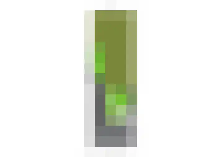 Lange Vore 49 Bavel thumbnail 26
