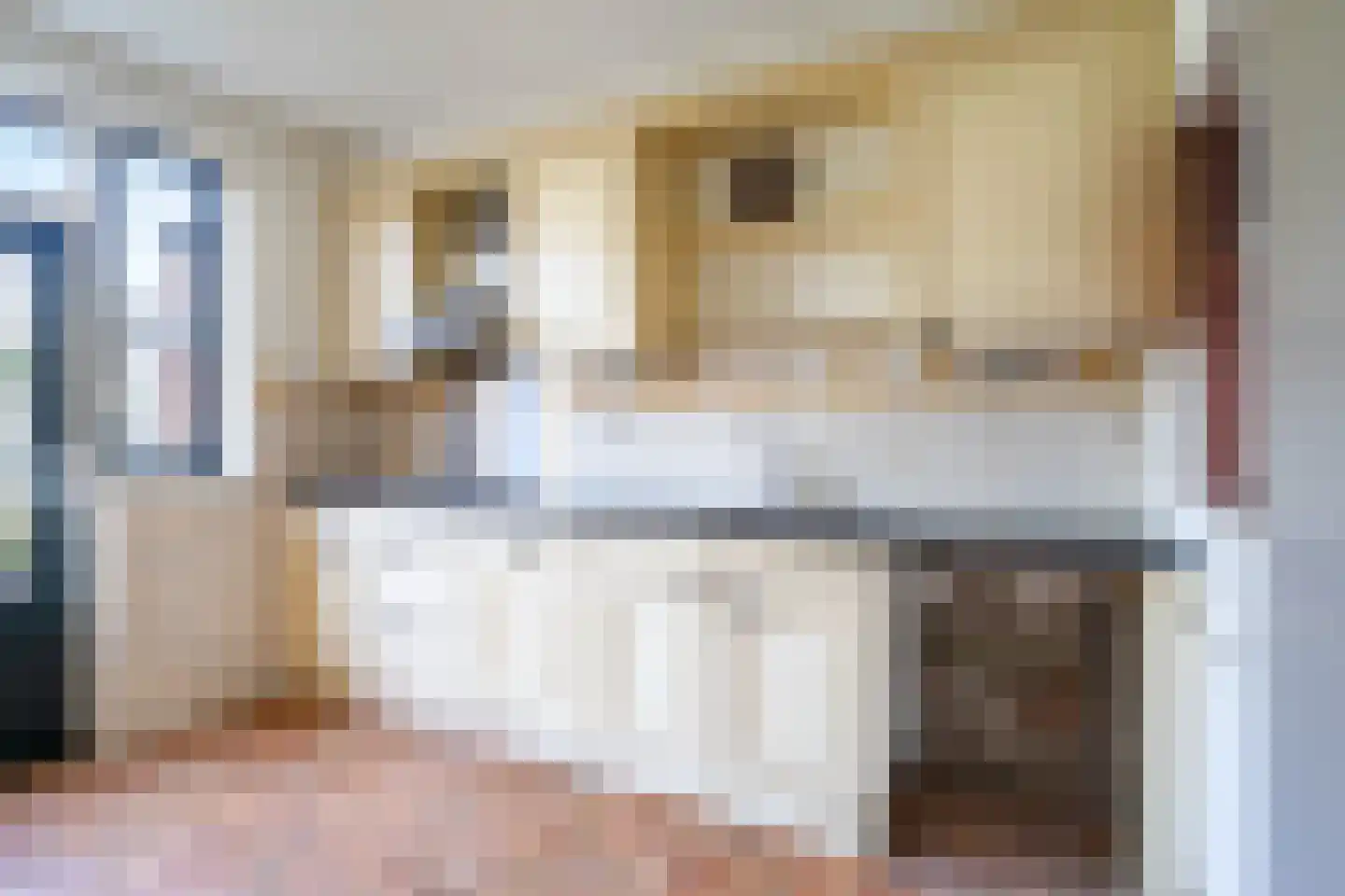 Lange Vore 49 Bavel thumbnail 9