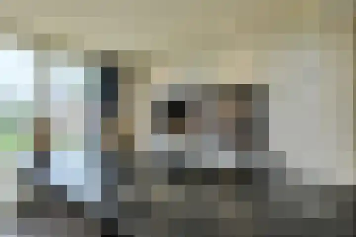 Lange Vore 59 Bavel thumbnail 11