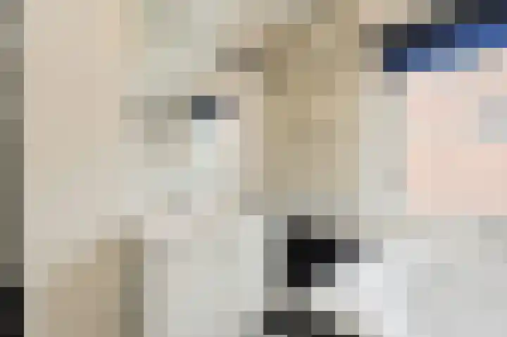 Lange Vore 59 Bavel thumbnail 24
