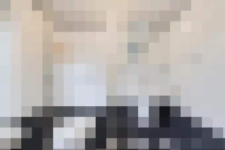 Lange Vore 59 Bavel thumbnail 27