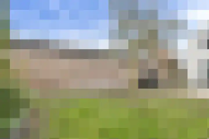 Lange Vore 59 Bavel thumbnail 34