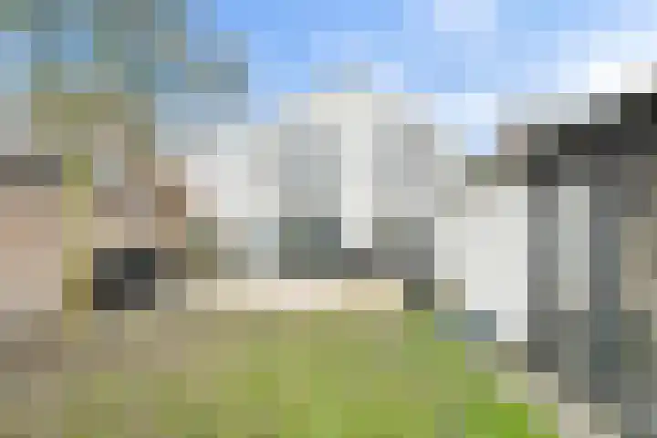 Lange Vore 59 Bavel thumbnail 35