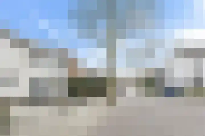 Lange Vore 59 Bavel thumbnail 36