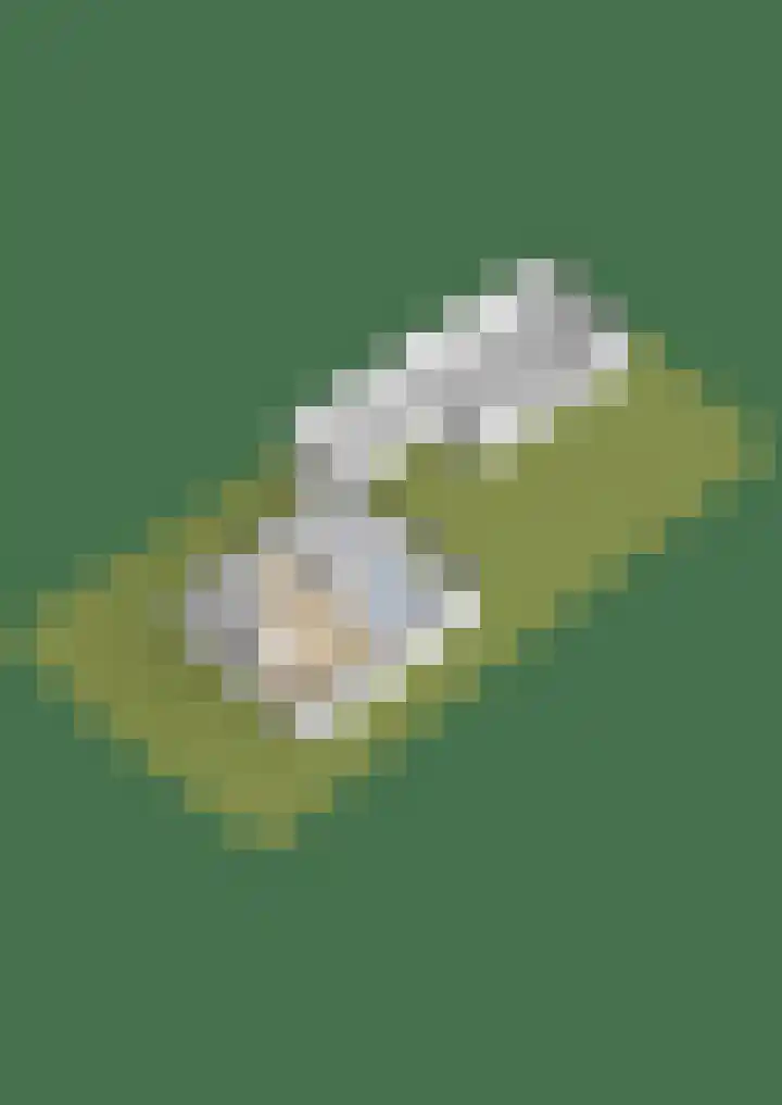 Lange Vore 59 Bavel thumbnail 47