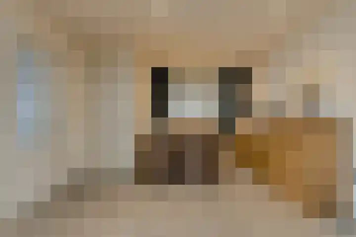 Lange Vore 59 Bavel thumbnail 8