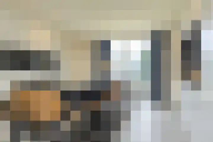 Lange Vore 59 Bavel thumbnail 9