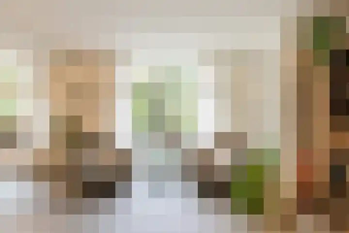 Lange Voren 12 Oosterhout thumbnail 11