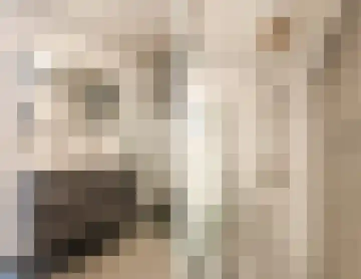 Lange Voren 12 Oosterhout thumbnail 20