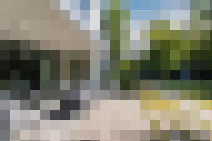 Lange Voren 12 Oosterhout thumbnail 37