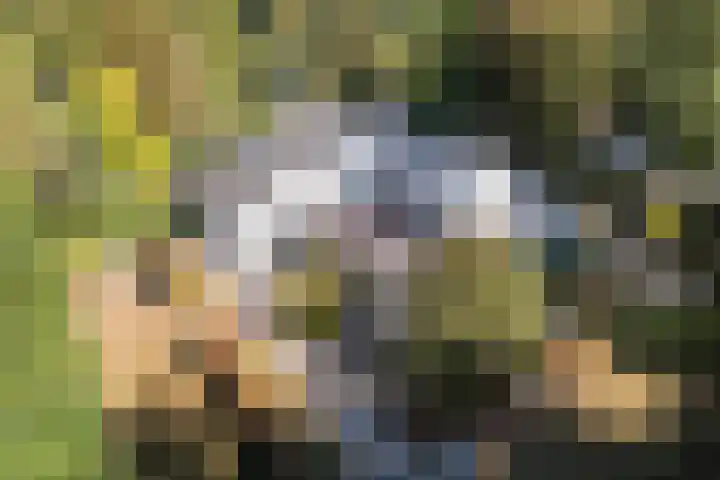 Lange Voren 12 Oosterhout thumbnail 4