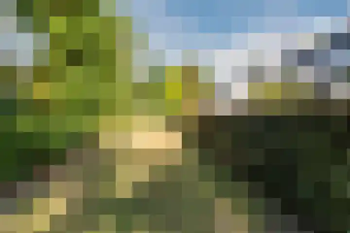 Lange Voren 12 Oosterhout thumbnail 41