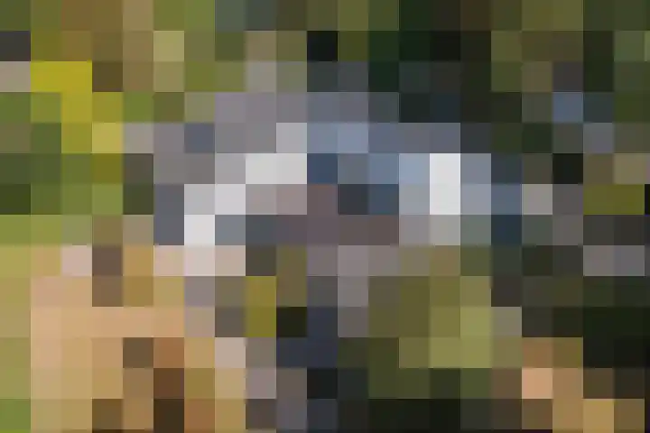 Lange Voren 12 Oosterhout thumbnail 42