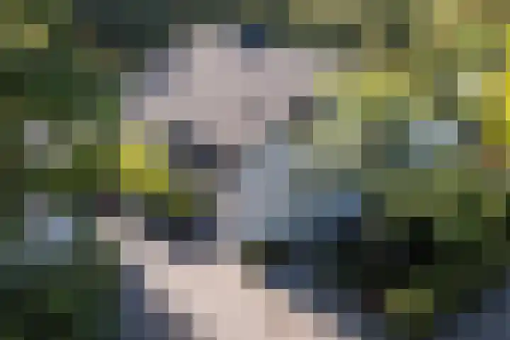 Lange Voren 12 Oosterhout thumbnail 43