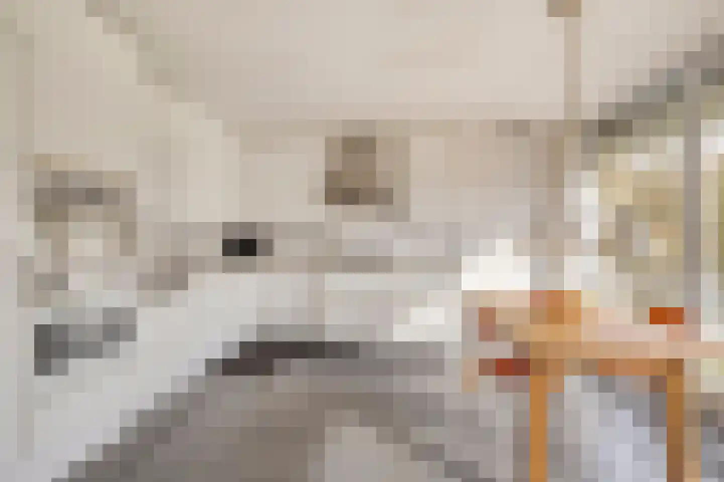 Lange Voren 2 Oosterhout thumbnail 15