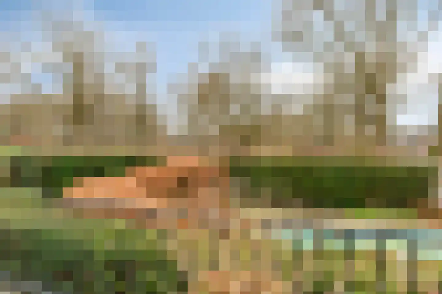 Lange Voren 2 Oosterhout thumbnail 19