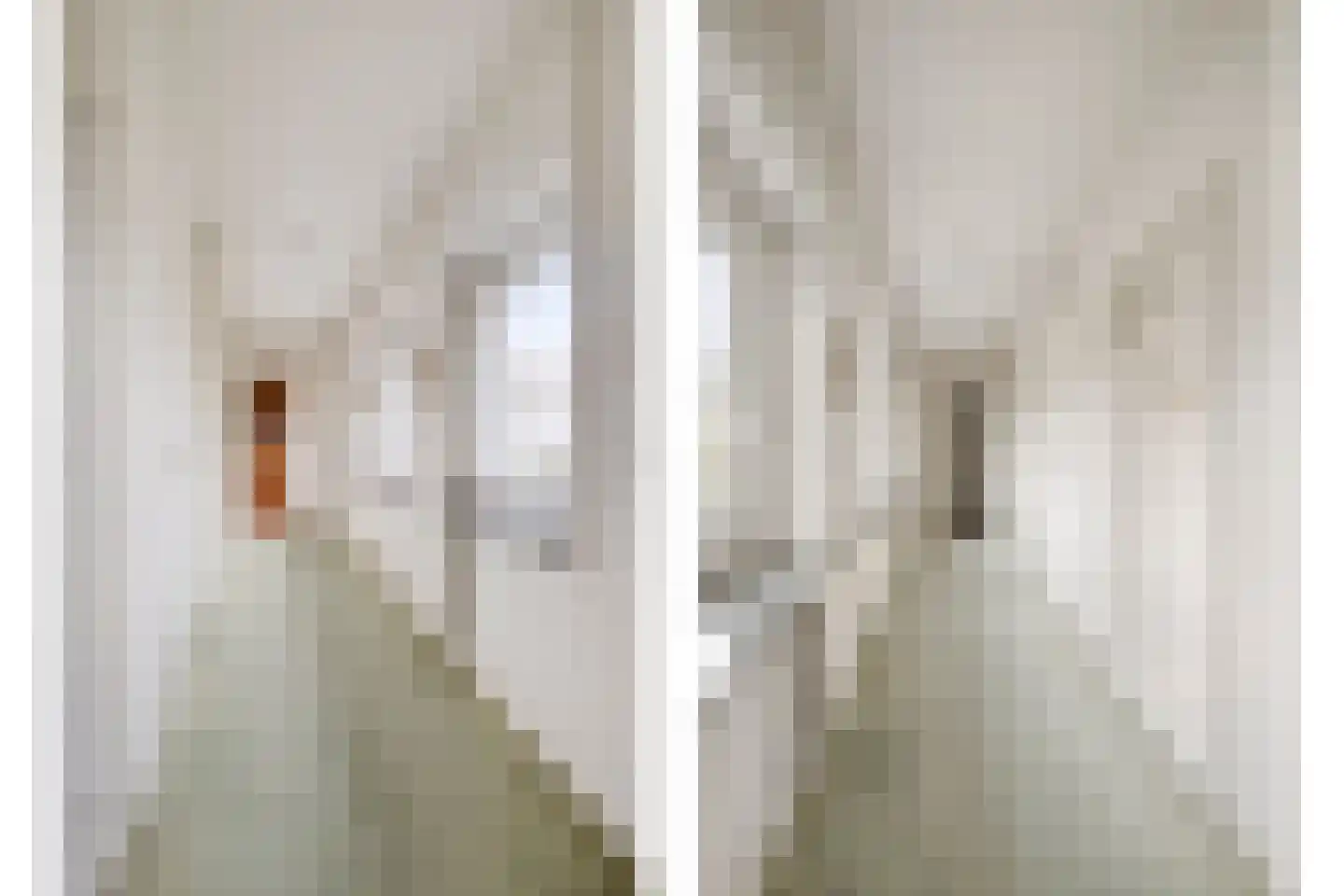 Lange Voren 2 Oosterhout thumbnail 20