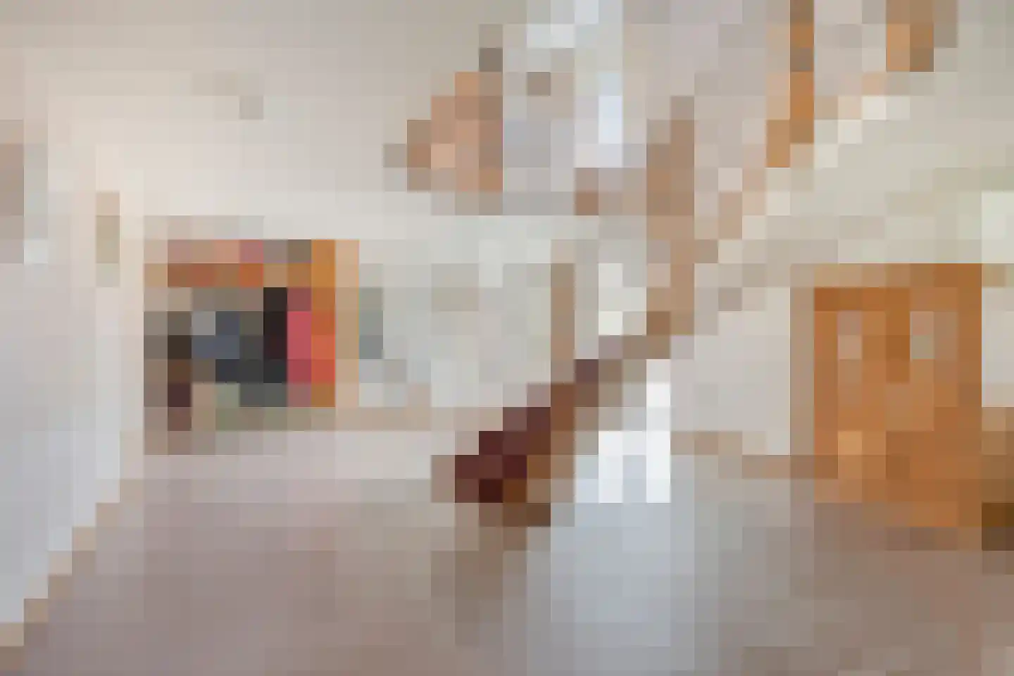 Lange Voren 2 Oosterhout thumbnail 34