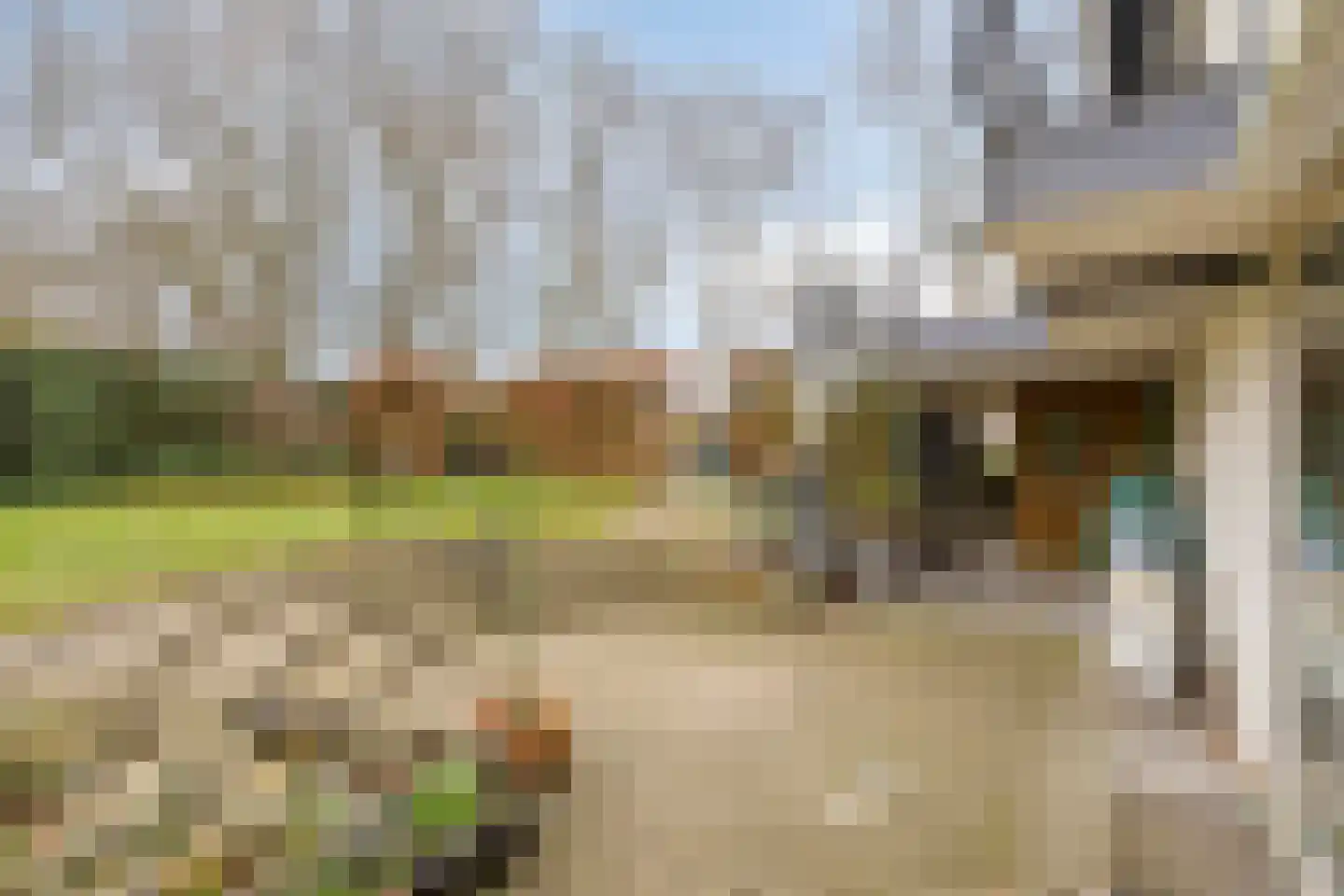 Lange Voren 2 Oosterhout thumbnail 43