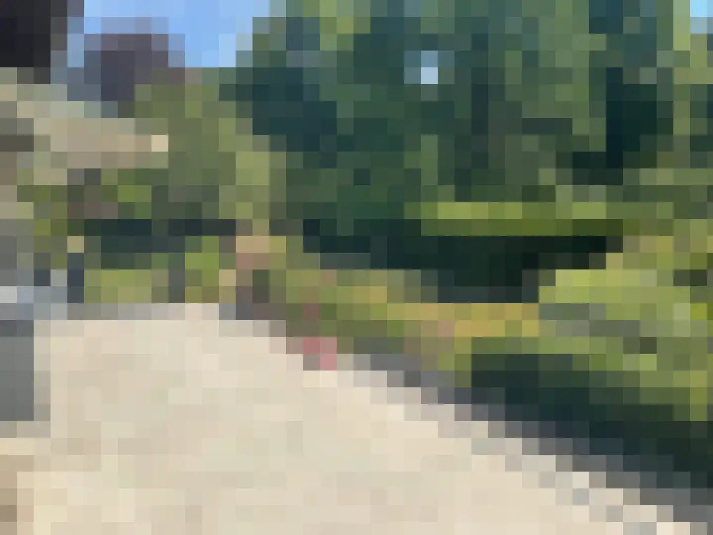 Lange Voren 2 Oosterhout thumbnail 45