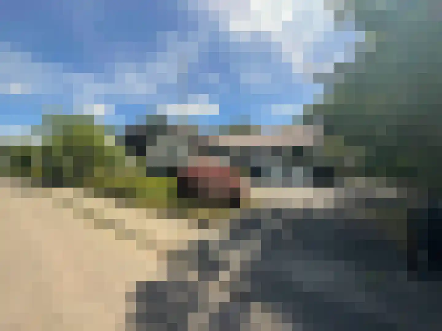 Lange Voren 2 Oosterhout thumbnail 50