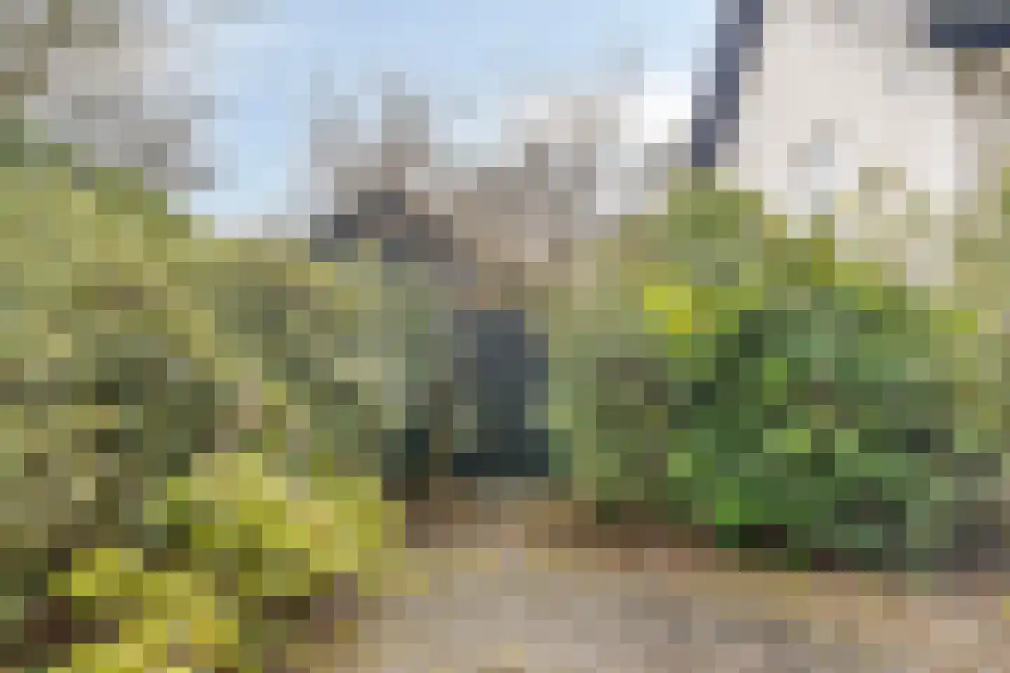 Lange Voren 2 Oosterhout thumbnail 52