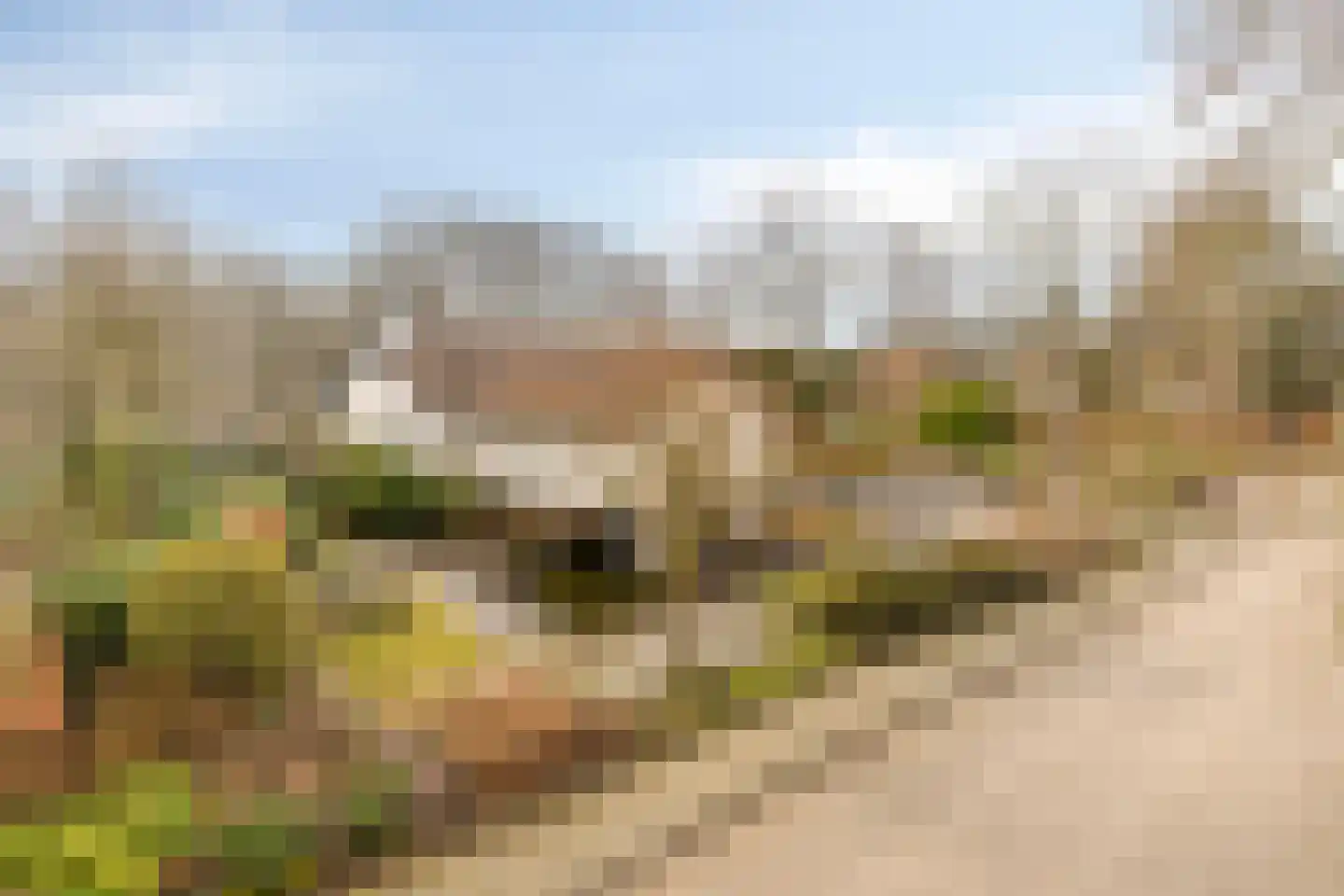 Lange Voren 2 Oosterhout thumbnail 53