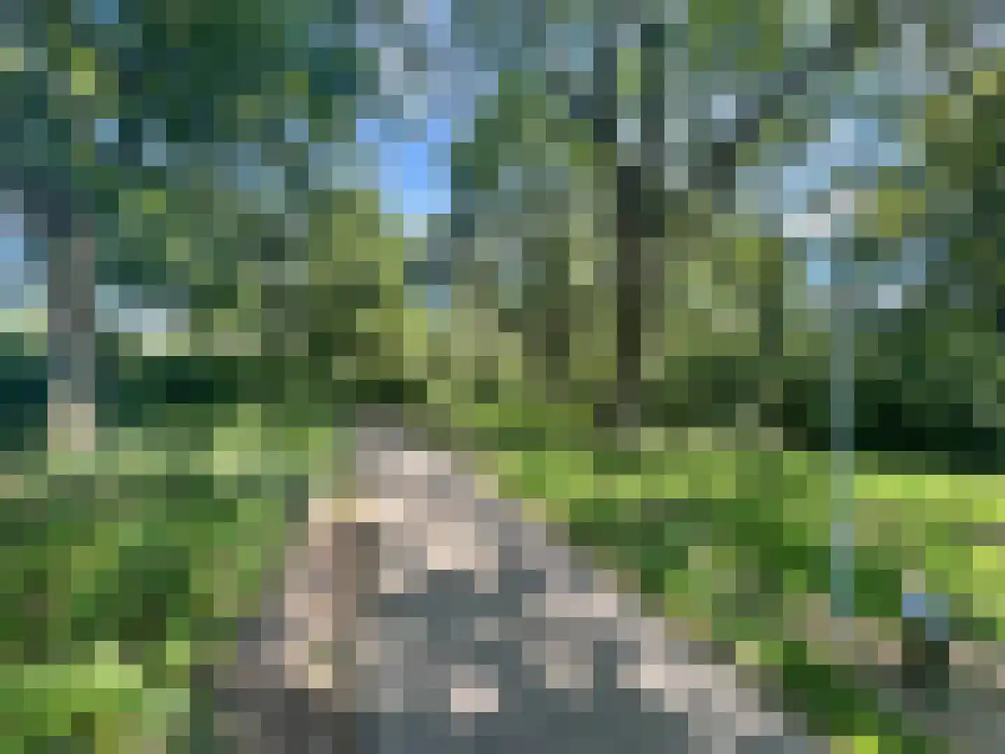 Lange Voren 2 Oosterhout thumbnail 59