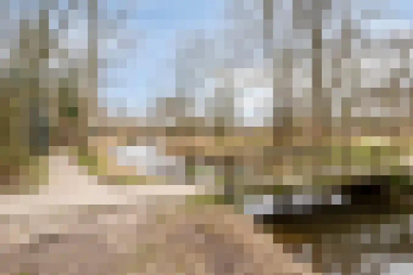 Lange Voren 2 Oosterhout thumbnail 59
