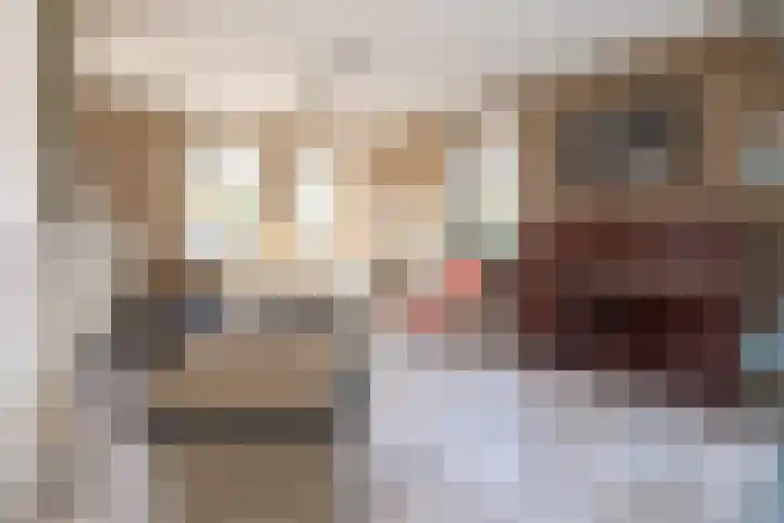Lange Voren 33 Barneveld thumbnail 10