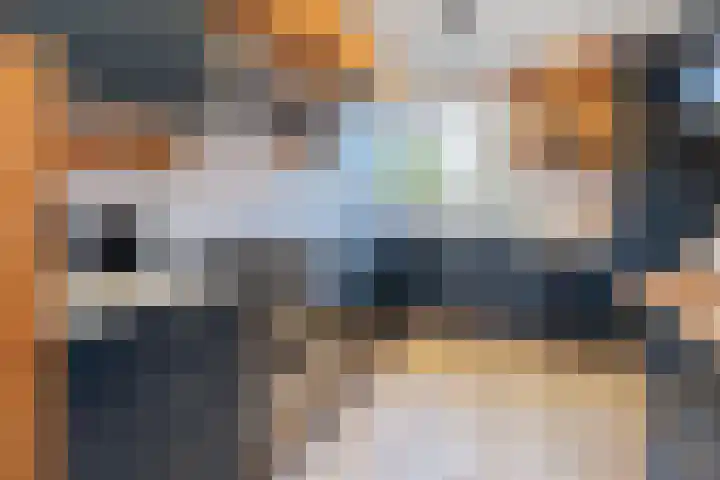 Lange Voren 33 Barneveld thumbnail 15