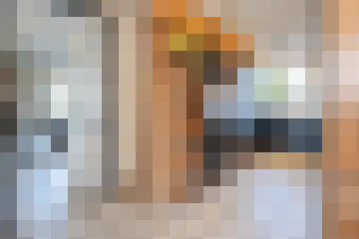 Lange Voren 33 Barneveld thumbnail 17