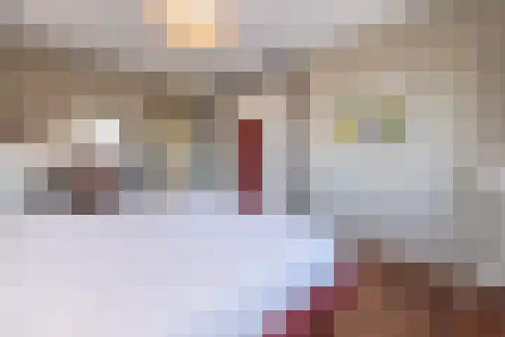Lange Voren 33 Barneveld thumbnail 34