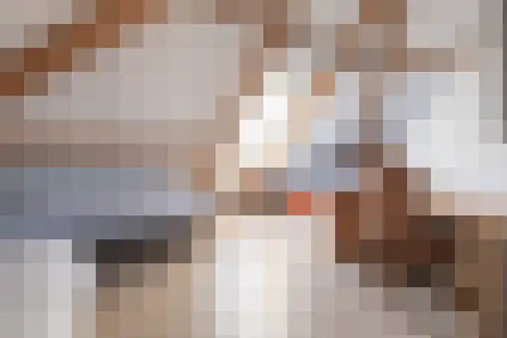 Lange Voren 33 Barneveld thumbnail 41